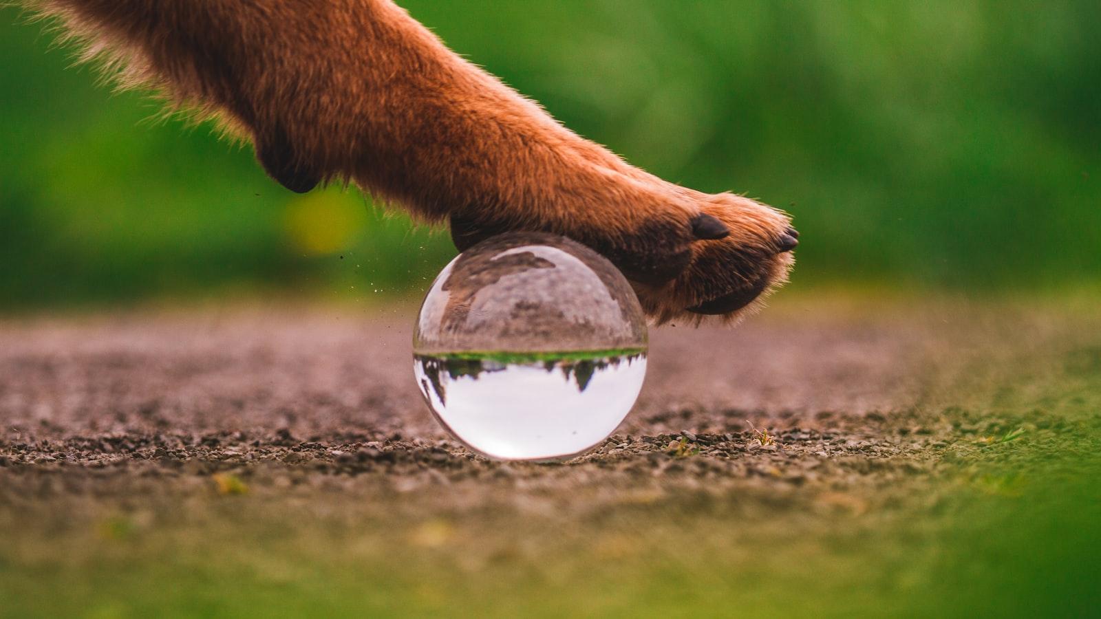 Best Practices​ for Mobile Optimization